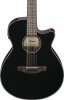 Ibanez AEG-5012-BKH Gitara elektroakustyczna  12 strunowa